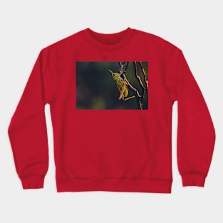 Wild life design Crewneck Sweatshirt